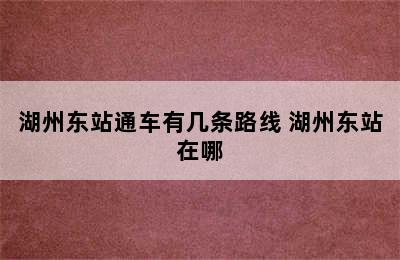 湖州东站通车有几条路线 湖州东站在哪